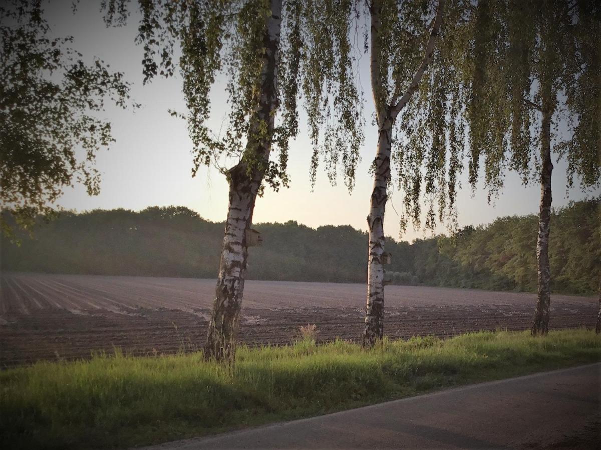 B&B Op 't Eikenschoor Soerendonk Buitenkant foto