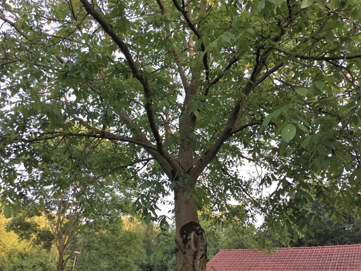 B&B Op 't Eikenschoor Soerendonk Buitenkant foto